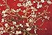 Almond Blossom - Red Poster by Vincent van Gogh 36 x 24in