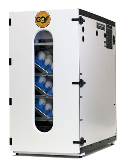 Amazon.com: Pinnon Hatch Farms Incubator GQF 1502 Cabinet Incubator