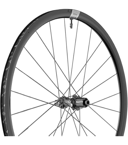 Amazon.com : DT Swiss P 1800 Spline 700c Rear : Sports & Outdoors