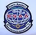 Resident Evil North America BSAA [Red Letters] Logo Embroidered Patch 4 Inches