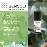 Sensoli Eucalyptus Essential Oil 10ml 100% Pure Eucalyptus Globulus Amber view 2