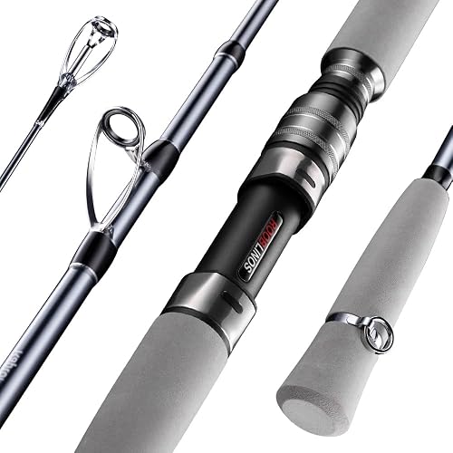 baitcaster saltwater solid rod Lightweight Carbon Fishing 10+1 Anti The Best Saltwater Baitcasting Reels