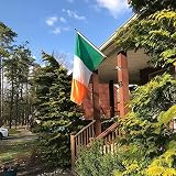 Kibon Ireland Flag 3x5 ft Polyester with Grommets for Outdoor Use view 5