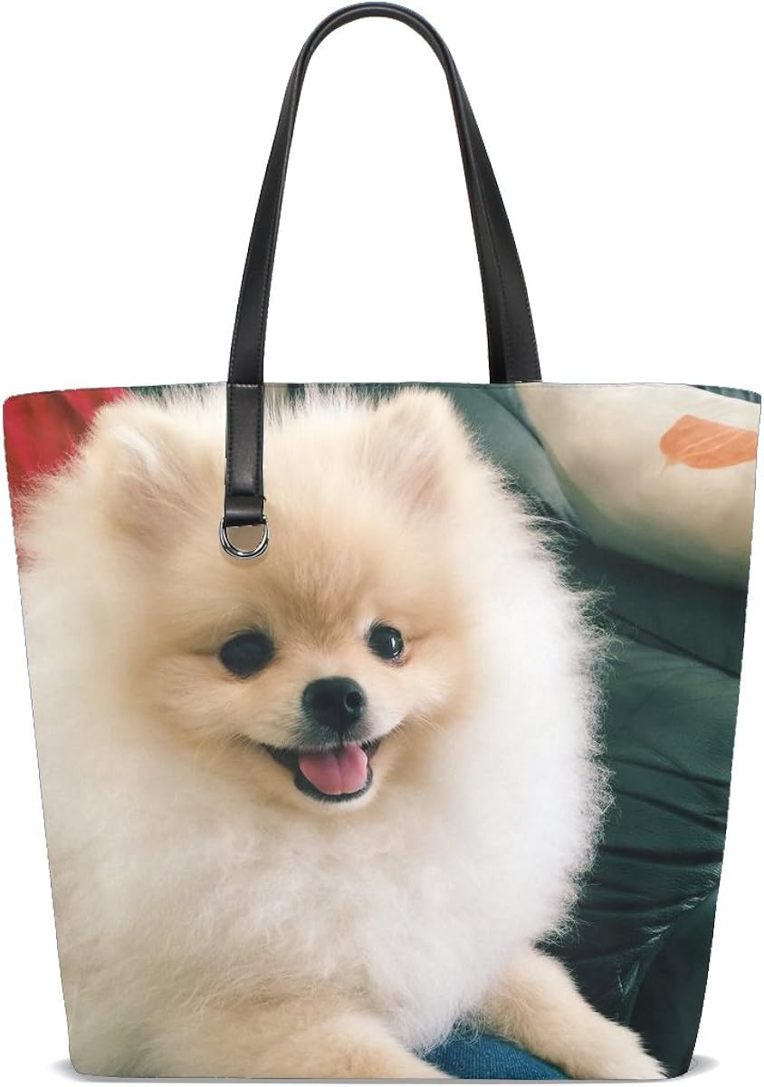 pomeranian in purse