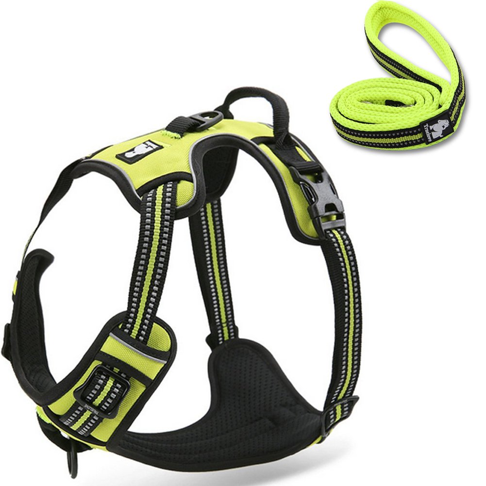 OLizee Reflective Nylon No-Pull Dog Harness and Training Leash Set Padded Durable Adjustable(S, Green Set)