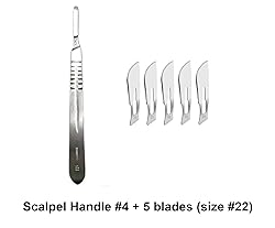 19 Piece Dissecting Kit Including