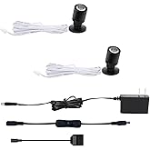 Taysing LED Spot Light Indoor Little Mini Spotlight Accent Lights for Display, Paintings, Pictures, Plants, Jewelry, Shelves,