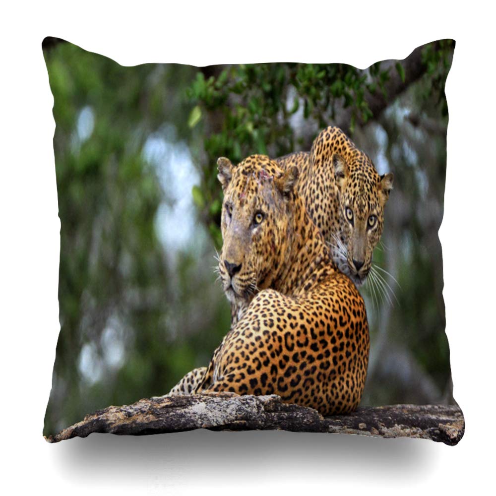 Amazon Com Suesoso Decorative Pillows Case 18 X 18 Inch Stone