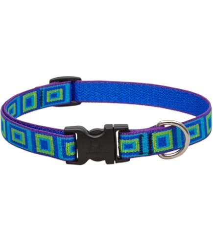 洋楽 g-rap Court Dog/Pullin' Rank Court Dog Pullin Rank g-rap