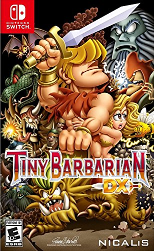 Tiny barbarian dx - nintendo switch