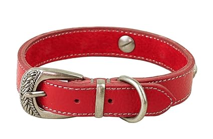 Amazon Com Rantow Rome Style Leather Dog Collars For Small