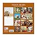 2018 Teddy Bears Calendar - 12 x 12 Wall Calendar - With 210 Calendar Stickers