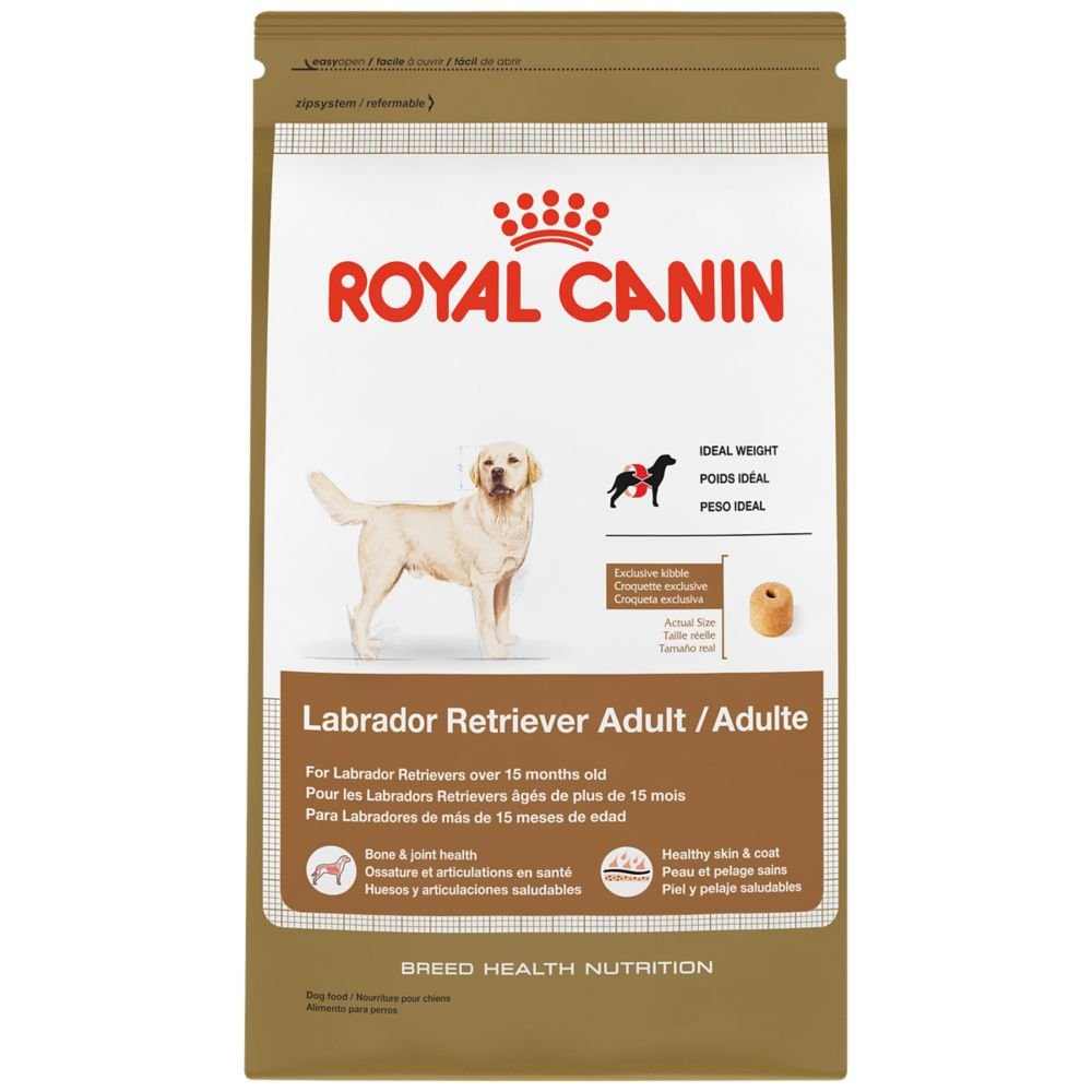 Royal Canin Breed Health Nutrition Labrador Retriever Adult dry dog