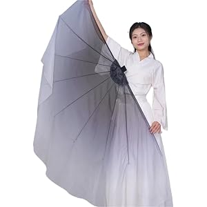 WEIJFRFJ Fishbone Fan 2pcs Fishbone Fan Veil Opening Dance Stage Props Performance Customed Gradient Color Chiffon Large Fans