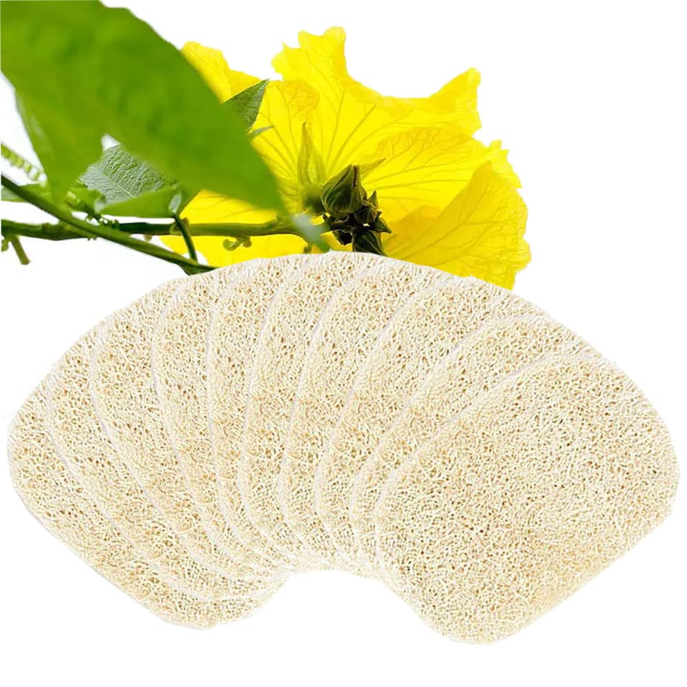 Voarge Pack of 10 Natural Loofah Sponge 8 x 13 cm Loofah Sponge, Soap Dish Soap Holder Accessories for Shower/Bathroom/Kitchen/Worktop, Beige