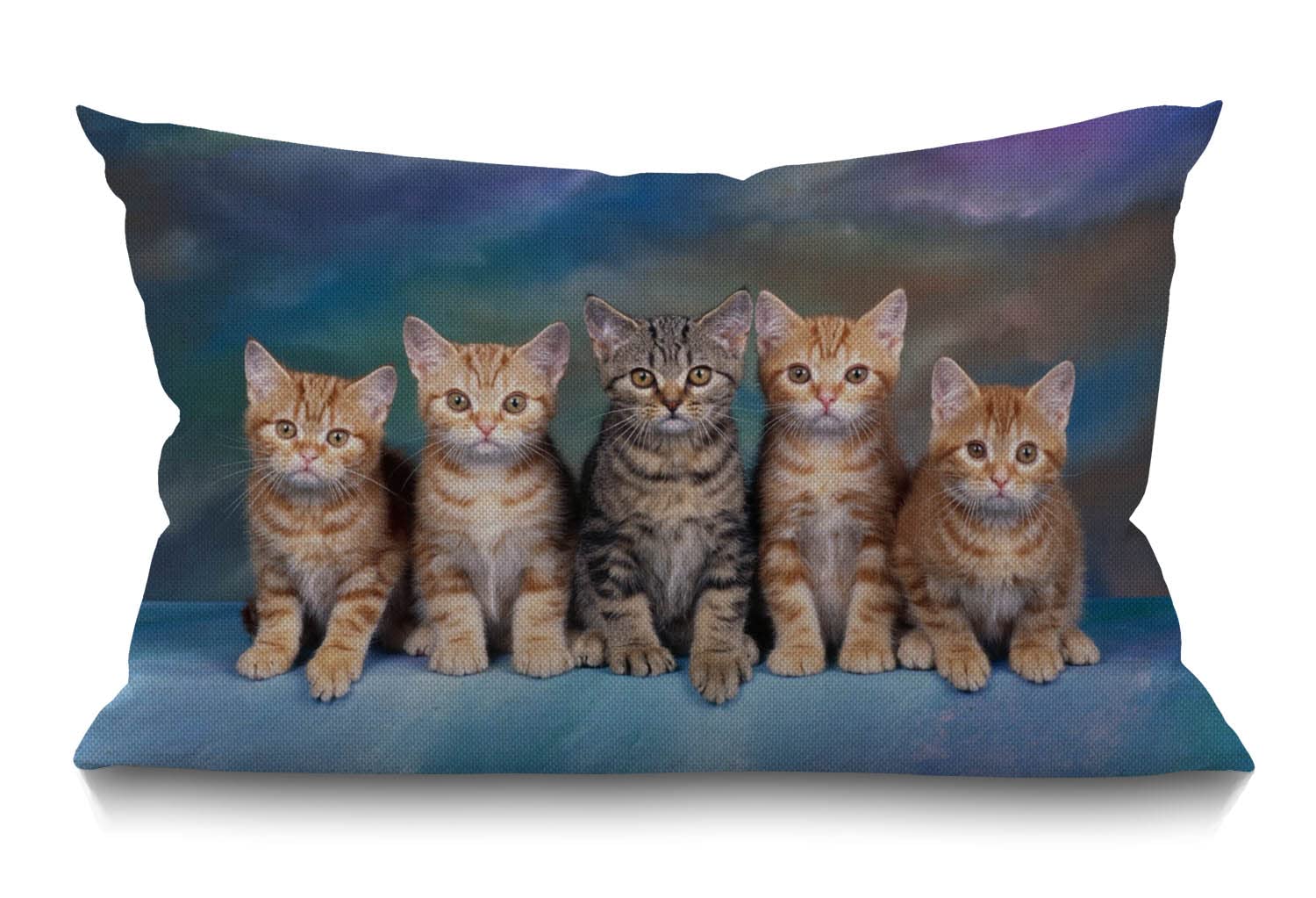 BGBDEIA Cushion Cover,Kitten Series Cute Cat Rectangle Outdoor Cushion Covers 12x20 inch, 30 x 50 cm Cushion Cover with Invisible Zip for Sofa Chair Living Room
