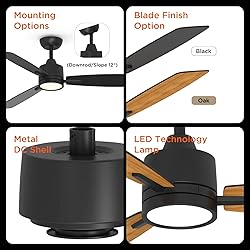 TALOYA 52 Inch Ceiling Fans with Lights Led Remote