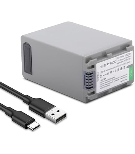 Amazon.com : NP-FV100 NP-FV100(A) High Capacity 'Intelligent