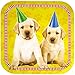Blue Orchards Puppy Supplies Packs (100 Pieces for 16 Guests) - Dog Birthday Party Supplies, Puppy Dog Party Plates, Dog Adoption Party, Dog Themed Party Decorations, Puppy Party