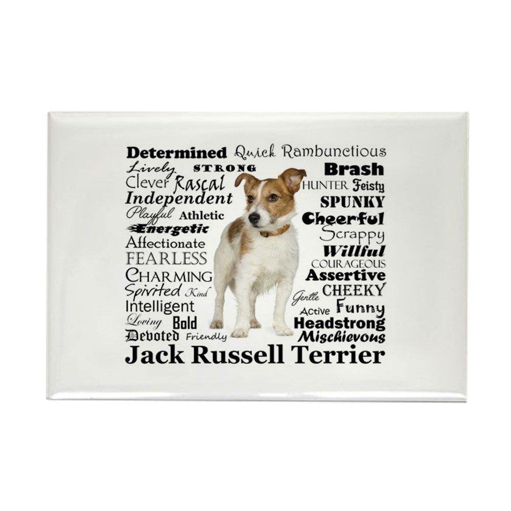 The 10 Best Rectangle Magnets For Refrigerator By Jack Chloe 35Pcs