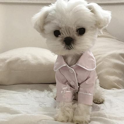 Sasa Pyjama Chien De Marque French Tide Petit Chien Teddy