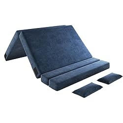 Luoxiao Folding Sofa Bed Queen with 2