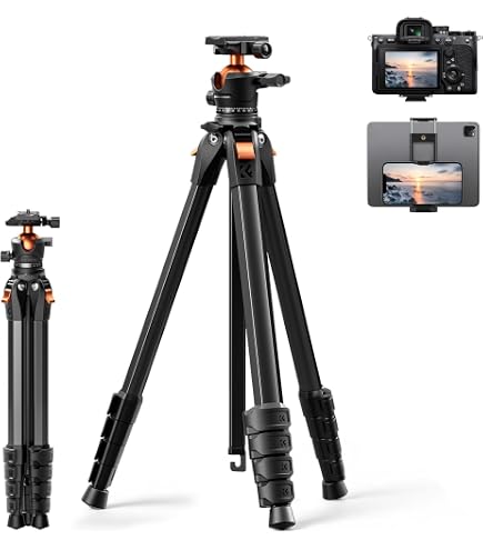 Amazon.com : Nikon 10-24mm f/3.5-4.5G ED AF-S DX Nikkor Wide-Angle