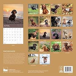 July 2025- December 2026 Dachshund Wall Calendar 18