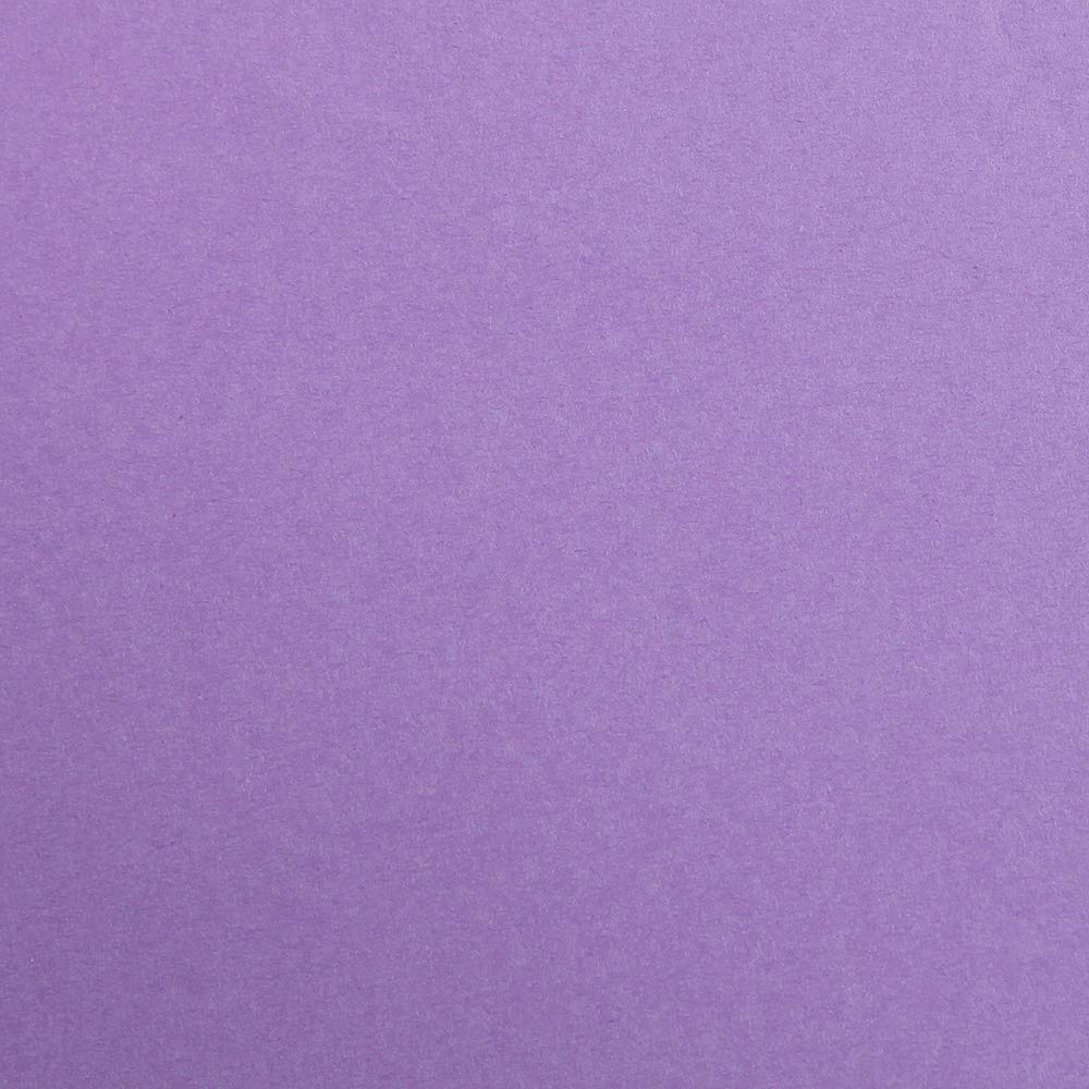 Clairefontaine - Ref 47959C - Maya Coloured Smooth Drawing Paper (Pack of 25 sheets) - 270gsm Paper - 70 x 100cm - Purple Colour - Deep Dyed, Acid Free, pH Neutral