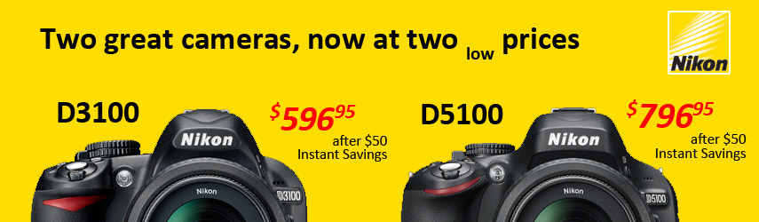 Nikon D3100 and D5100 now on sale