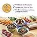 Wellness Natural Pet Food Complete Health Natural Dry Large Breed Puppy Food, Chicken, Salmon & Rice, 30-Pound Bag