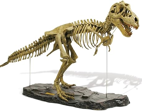 Geoworld Tyrannosaurus Rex