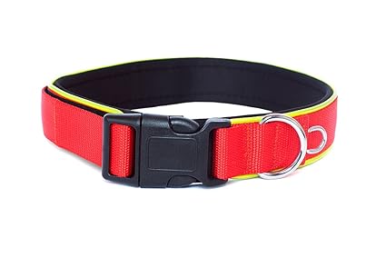 plastic dog collars with name plates