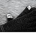 Womens Running Touchscreen Winter Warm Gloves,iPhone Gloves, Texting Gloves for Smartphones