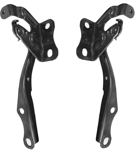 Amazon.com: Genuine Toyota Parts 53420-47070 Hood Hinge Assembly