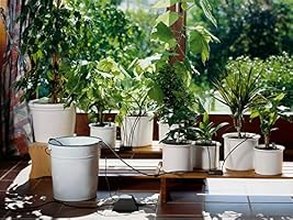 Gardena 1265-20 Set de riego en vacaciones city gardening, para un ...