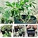 Aquarius CiCI Garden Potato Grow Bag Eco-Friendly Garden Planting Grow Bags Vegetables Planter Bags with Flap and Handles Heavy Duty Suitable for Potato, Carrot, Tomato, Onion(Green)