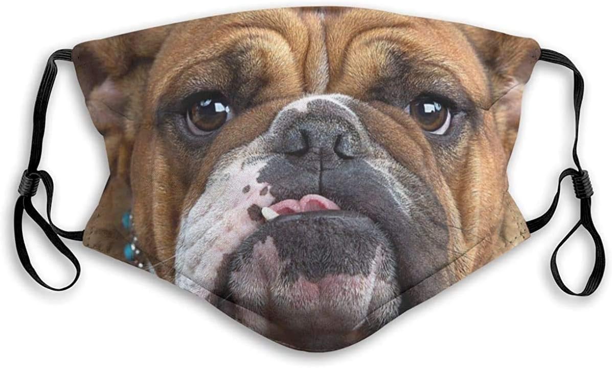 Dog Adjustable Windproof Ear Loops Reusable For Men Women Kids Teens