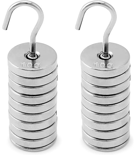 Lethan 9 Piece Hook Weight Set, Hooked Weight Mass Set (Cast Iron Only) 10g  - 1,000g: Amazon.com: Industrial & Scientific