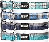 Friends Forever Plaid Dog Collar for Dogs, Fashion Woven Checkers Pattern, Cute Puppy Collar by, Blue Small 11-16