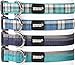 Plaid Dog Collar for Dogs, Fashion Woven Checkers Pattern, Cute Puppy Collar by Friends Forever, Blue Small 11-16
