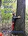 Good Local Wood: Keep All The Values Of Our Trees In The Local Community Good Local Wood: Keep All The Values Of Our Trees In The Local Community primary
