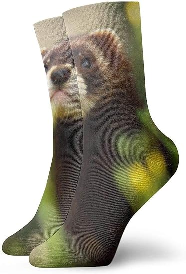 Ferret in The Forest Personalized Ankle Socks Athletic Stockings Casual