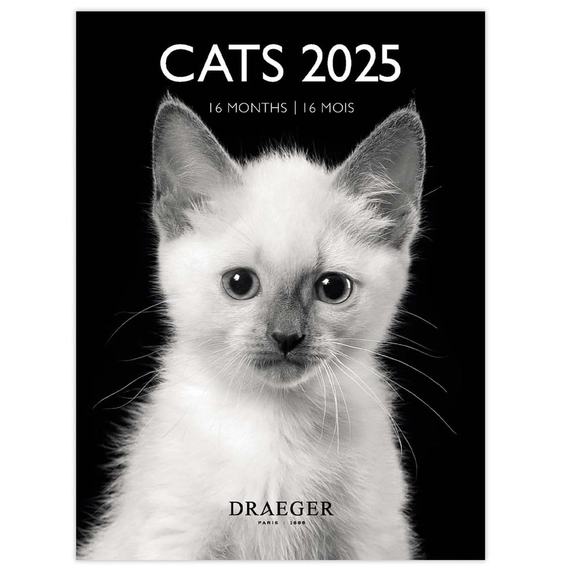 DRAEGER PARIS 1886 - Small Wall Calendar 14 x 18 cm 2025 - Black & White Cats - September 2024 to December 2025-12 Photos - 7 Languages - Elegant Design - High Quality Paper - Compact & Practical