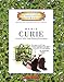 Marie Curie (Getting to Know the World's Greatest Inventors & Scientists)