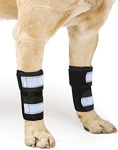 dog leg brace amazon