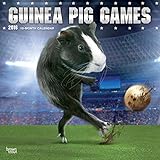 Guinea Pig Games - 2016 Calendar 12 x 12in