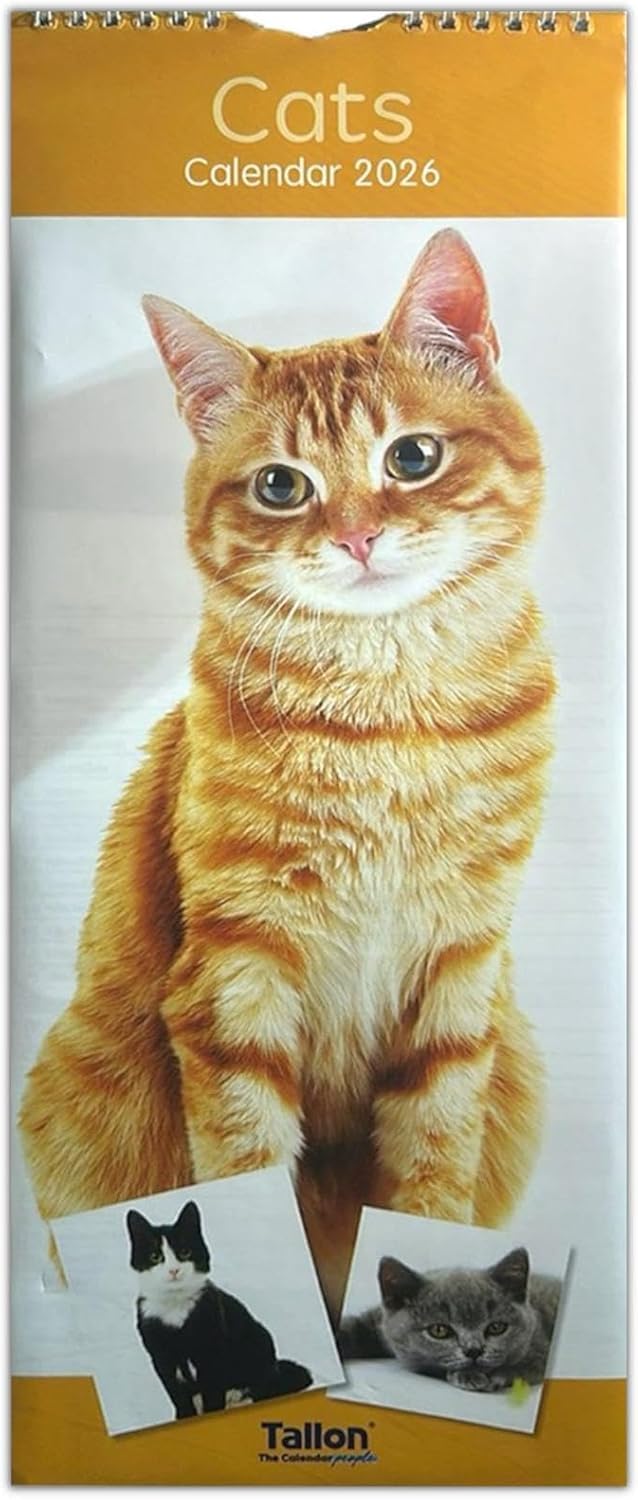 Orbitron 2026 Slim Month To View Spiral Bound Photo Wall Calendar Puppies Kittens Flowers Wildlife (Cats)
