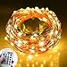 Ledgle Led String Lights,4W Dimmable Copper Wire 26ft 80 LED Fairy String Light with UL Certified 5V Power Adapter for Christmas Wedding and Party, Suitable for Indoors or Outdoors(Remote Controller)