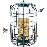 Nature's Rhythm Outdoor Hanging Bird Feeder Cage PC Tube Squirrel Proof Wild Bird Feeder with Large Metal Seed Guard Deterren
